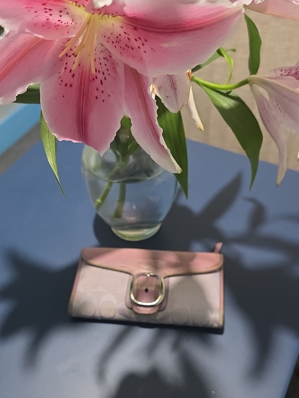Coach Pink Signature Buckle Wallet
